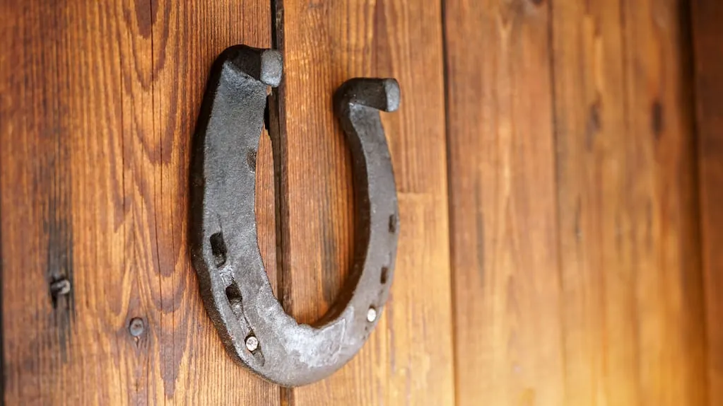 Varför en hästsko är mer än bara prydnad