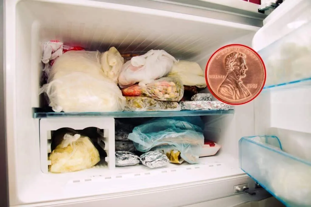 Myntet i frysen — ett enkelt knep som kan skydda din mat