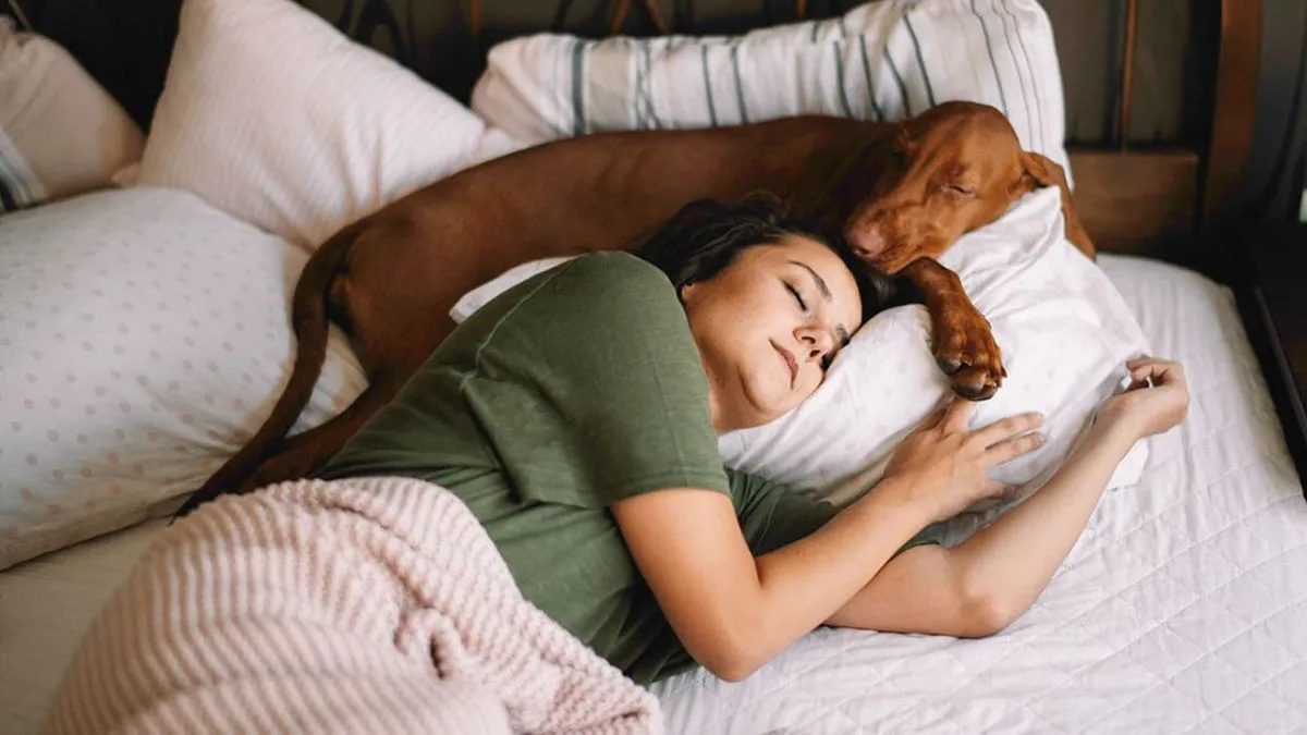 Fördelarna med att sova med husdjur: ett psykologiskt perspektiv