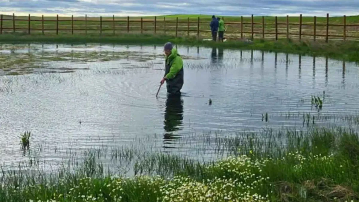 Återskapande av Medelhavets temporära dammar: en gömd skatt i fara